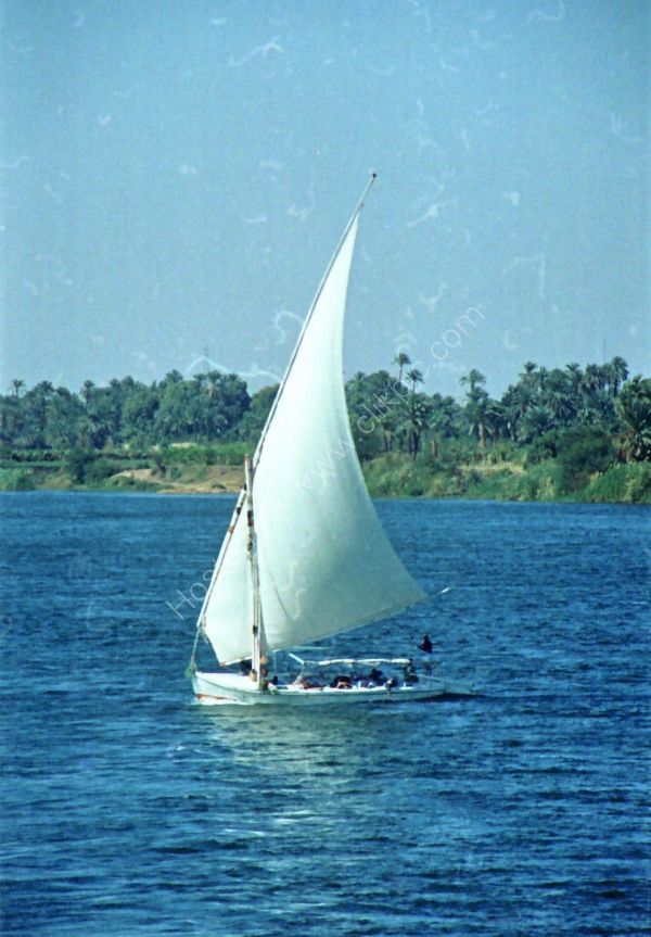 Felucca, River Nile